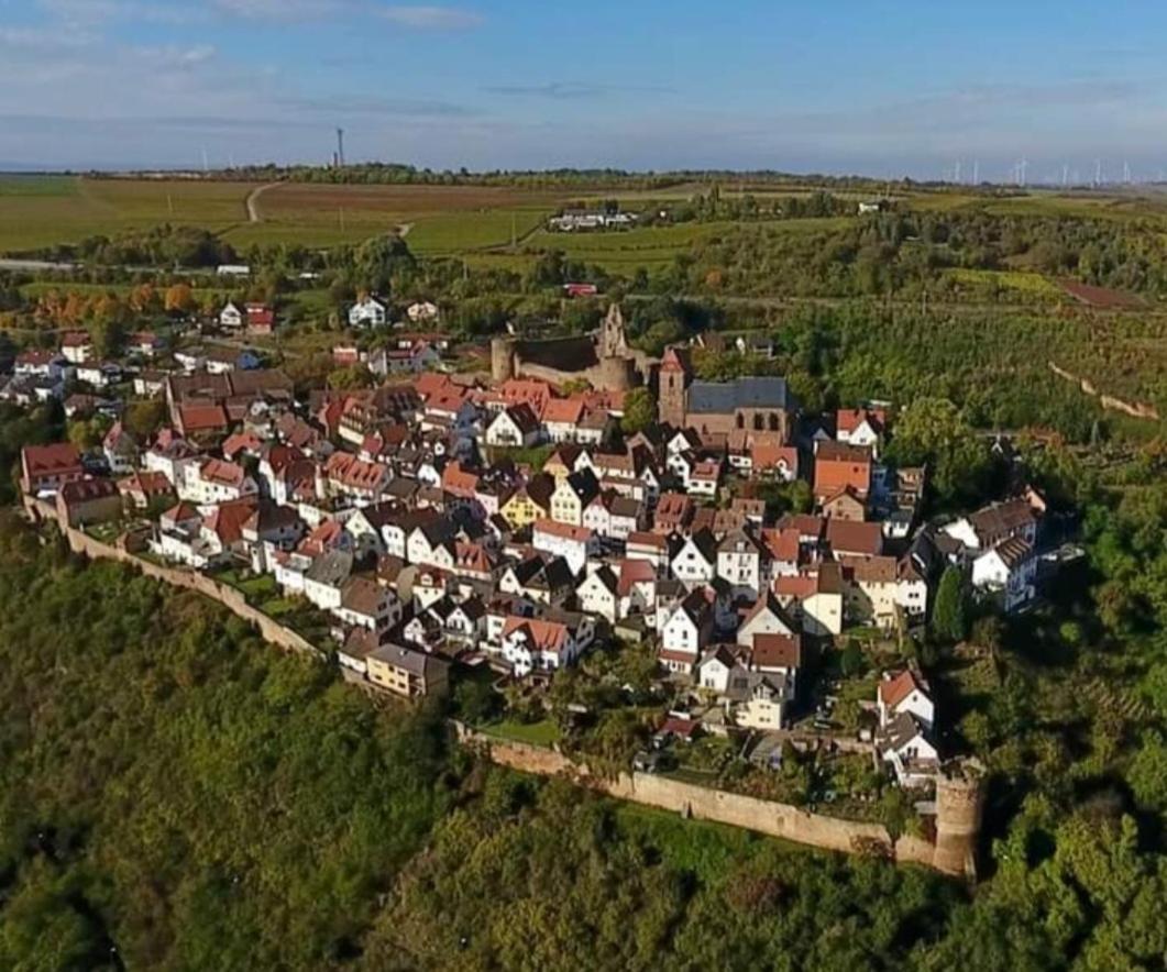 Отель Landgasthaus "Zum Engel" Neuleiningen Экстерьер фото